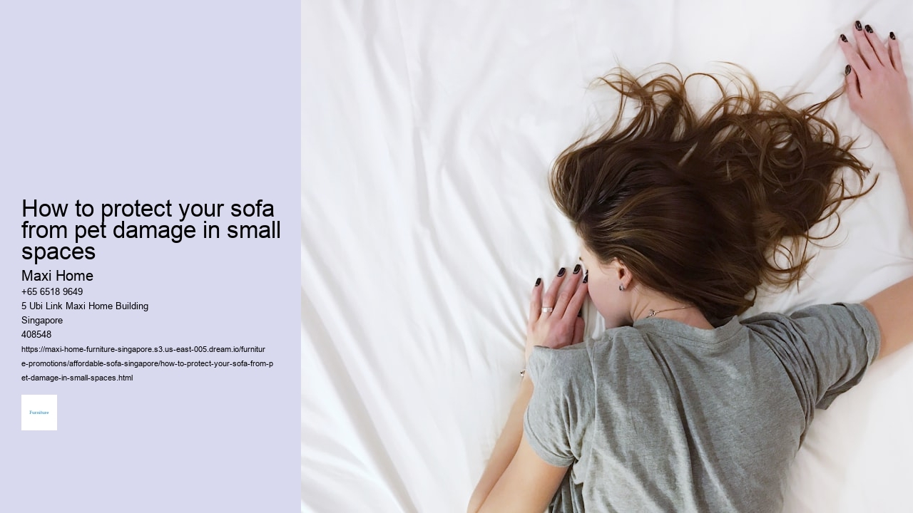 How to protect your sofa from pet damage in small spaces